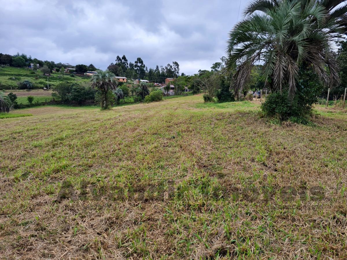 Sítio à venda, 50000m² - Foto 16