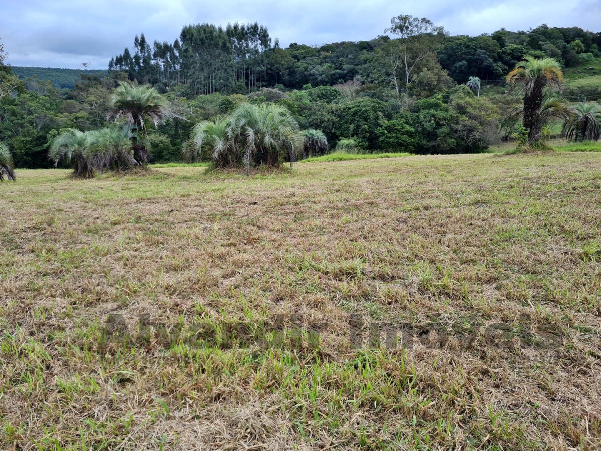 Sítio à venda, 50000m² - Foto 17