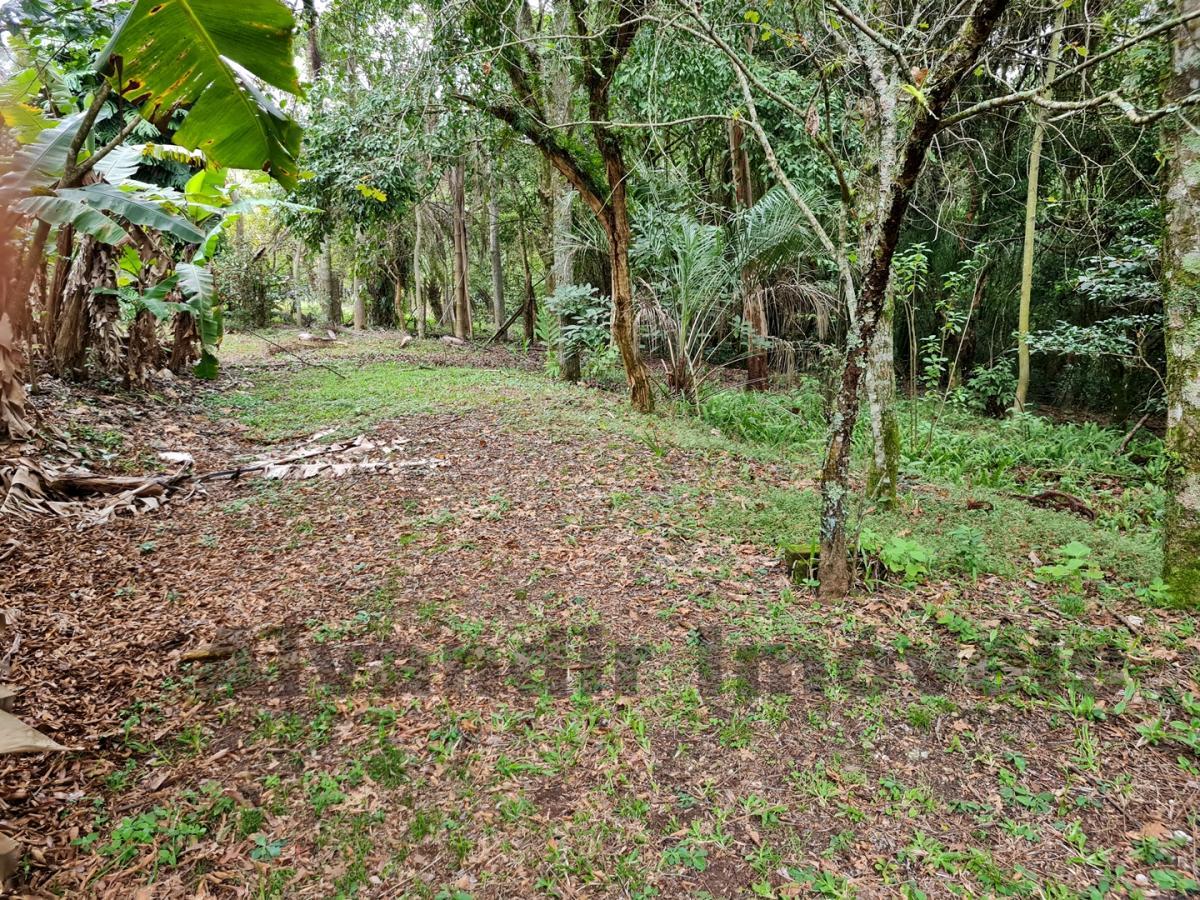 Sítio à venda, 50000m² - Foto 33