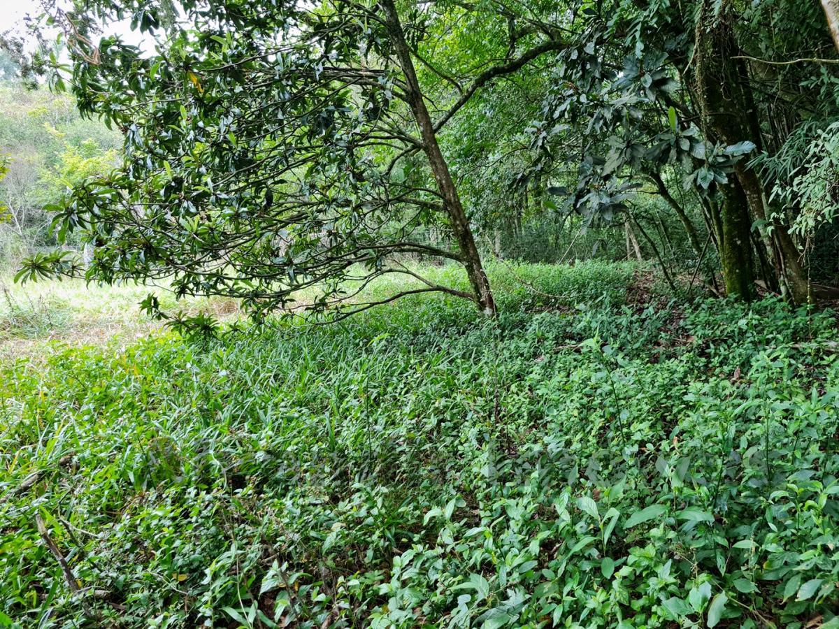 Sítio à venda, 50000m² - Foto 38