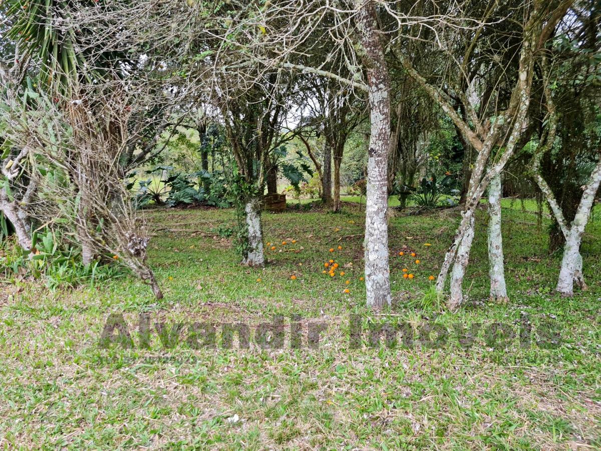 Sítio à venda, 50000m² - Foto 45