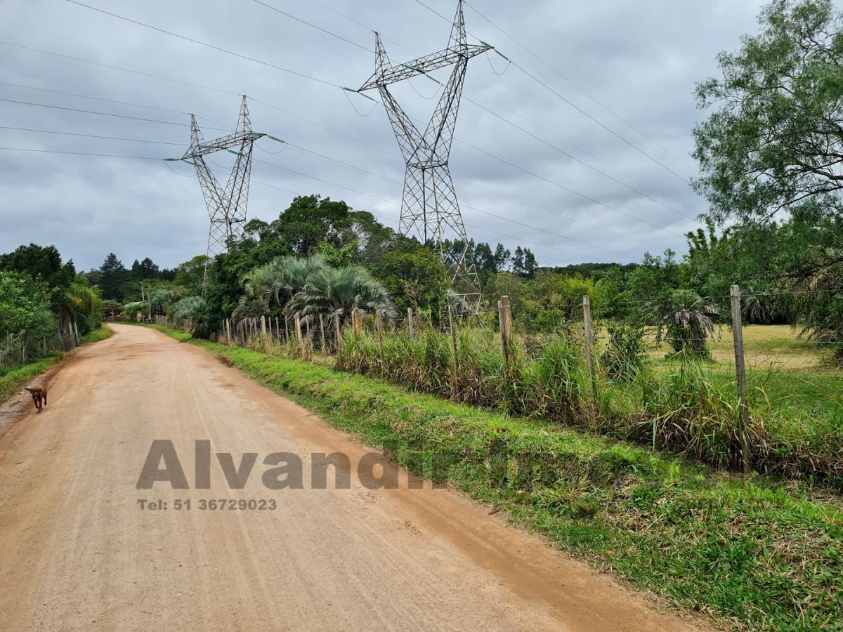 Sítio à venda, 50000m² - Foto 48