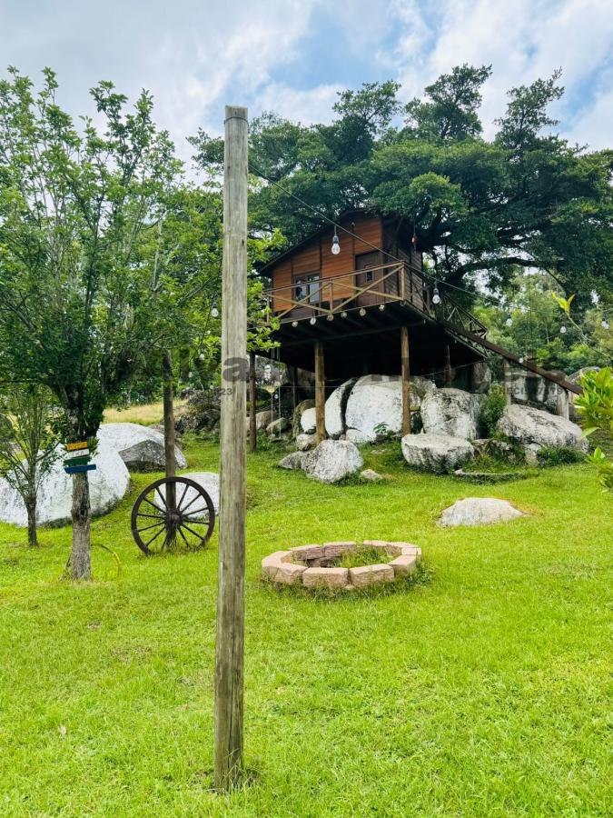 Sítio à venda - Foto 4