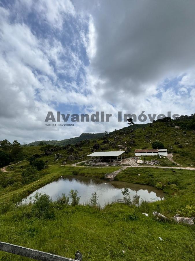 Sítio à venda - Foto 6