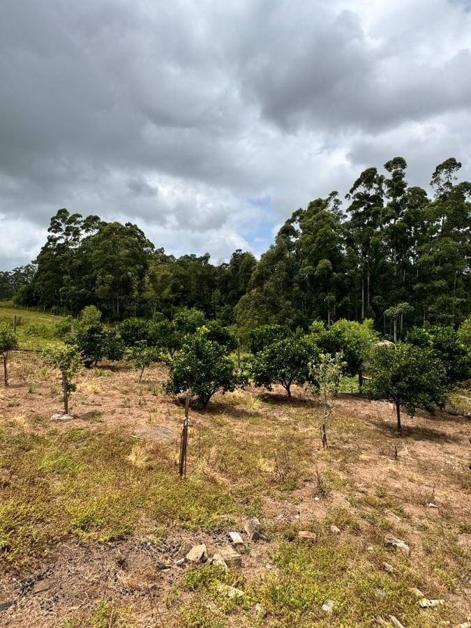 Sítio à venda - Foto 7
