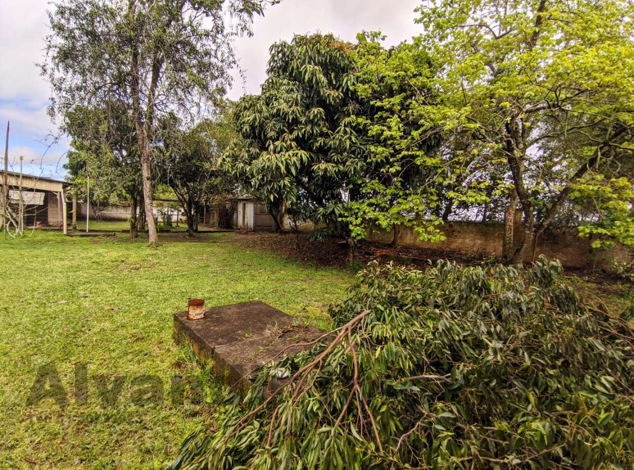 Casa, 5 quartos - Foto 25