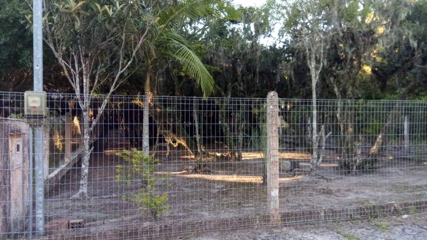 Casa à venda com 2 quartos, 480m² - Foto 15