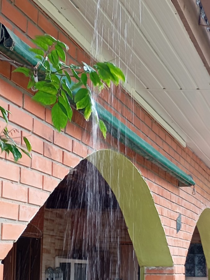 Casa, 3 quartos - Foto 18