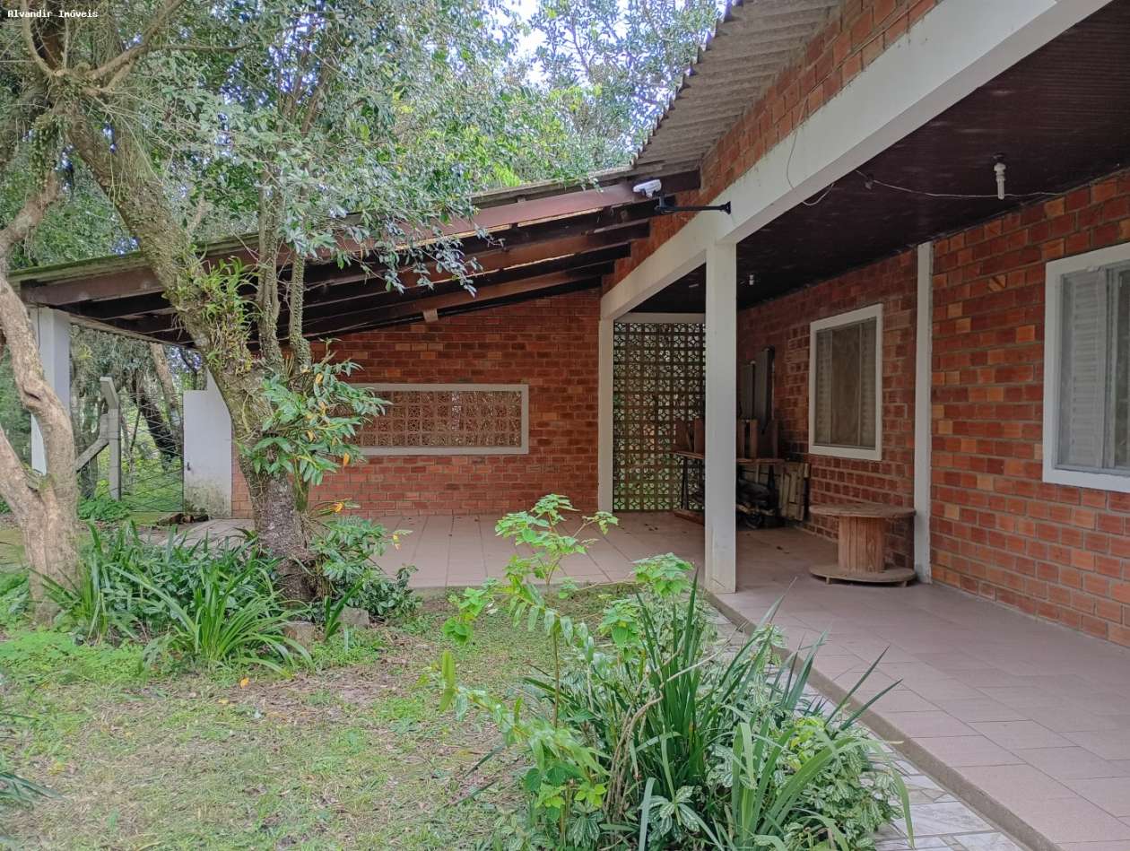 Casa, 4 quartos, 432 m² - Foto 6